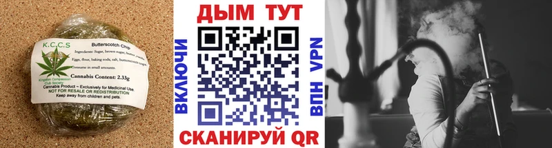 Canna-Cookies марихуана  hydra tor  Тетюши 