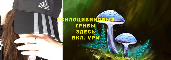 MDMA Premium VHQ Аркадак