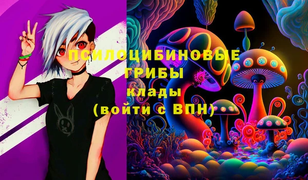 MDMA Premium VHQ Аркадак