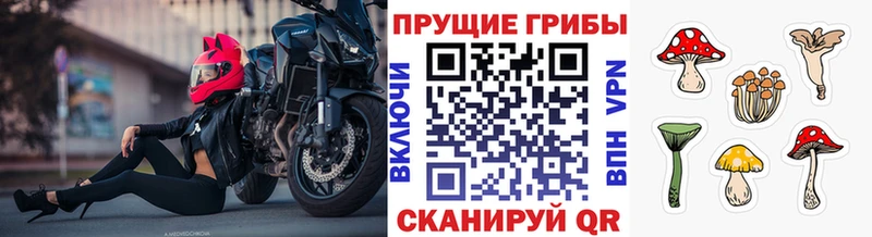 Псилоцибиновые грибы Cubensis  ссылка на мегу сайт  Тетюши 
